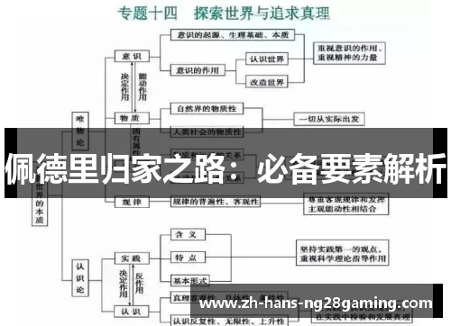佩德里归家之路：必备要素解析