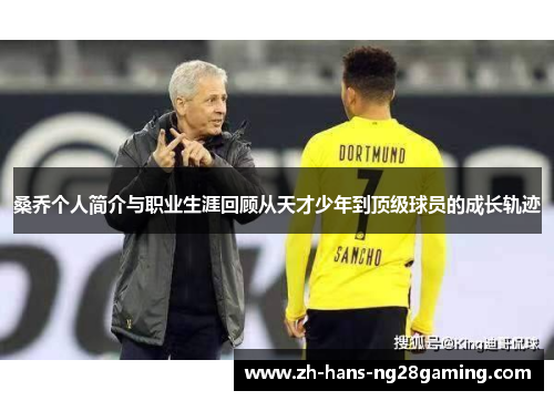 桑乔个人简介与职业生涯回顾从天才少年到顶级球员的成长轨迹