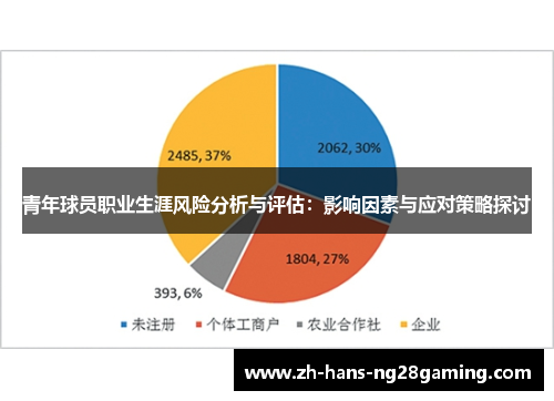 青年球员职业生涯风险分析与评估:影响因素与应对策略探讨 青年球员职业生涯风险分析与评估:影响因素与应对策略探讨